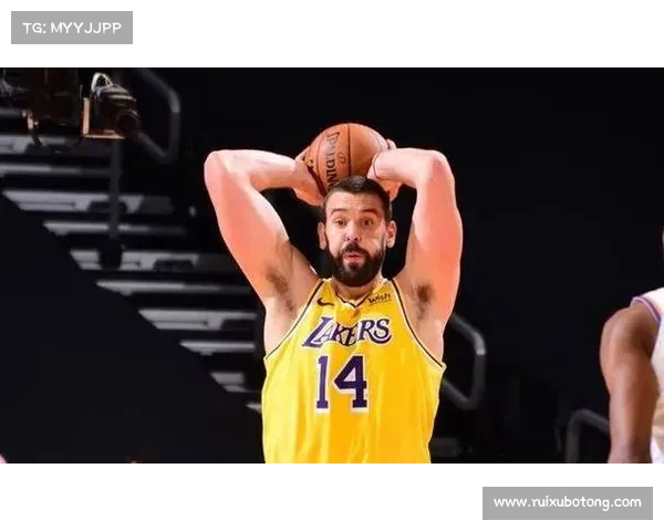加索尔兄弟：从西班牙篮球传奇到NBA赛场的双子星之路